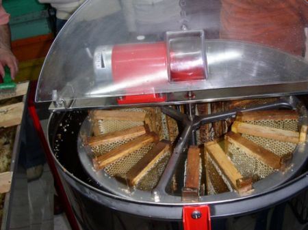 Immagine per la categoria Miele & Marmellate